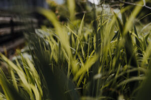 WandertagSommer24 Web 26