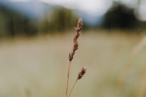 WandertagSommer24 Web 29