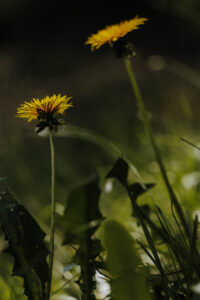 Wandertag Sommer25 Web 120