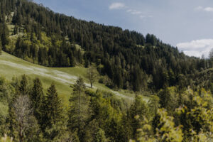 Wandertag Sommer25 Web 129