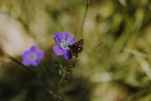 Wandertag Sommer25 Web 136