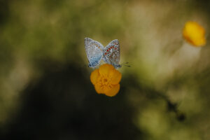Wandertag Sommer25 Web 137