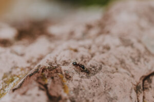 Wandertag Sommer25 Web 163