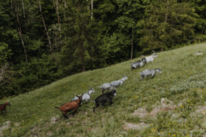 Wandertag Sommer25 Web 24