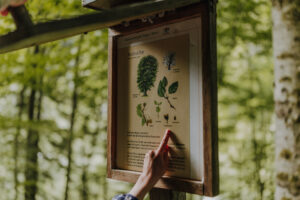 Wandertag Sommer25 Web 29