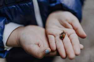 Wandertag Sommer25 Web 30