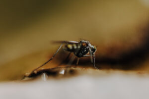 Wandertag Sommer25 Web 67