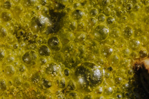 Wandertag Sommer25 Web 70