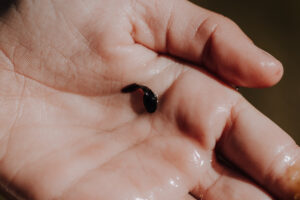 Wandertag Sommer25 Web 74