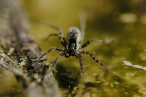 Wandertag Sommer25 Web 75