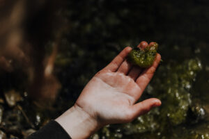 Wandertag Sommer25 Web 88