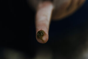 Wandertag Sommer25 Web 89