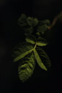 Wandertag Sommer25 Web 91