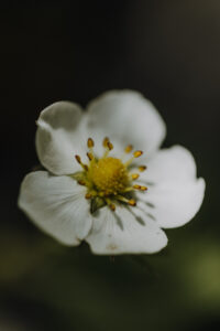 Wandertag Sommer25 Web 92