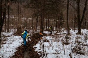 L1000618